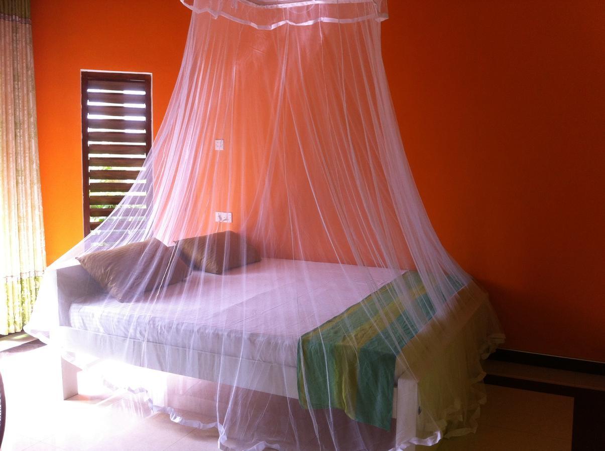 Bee Nest Bed & Breakfast Negombo Eksteriør billede