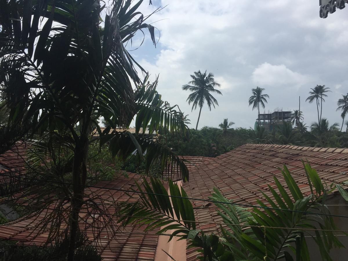 Bee Nest Bed & Breakfast Negombo Eksteriør billede