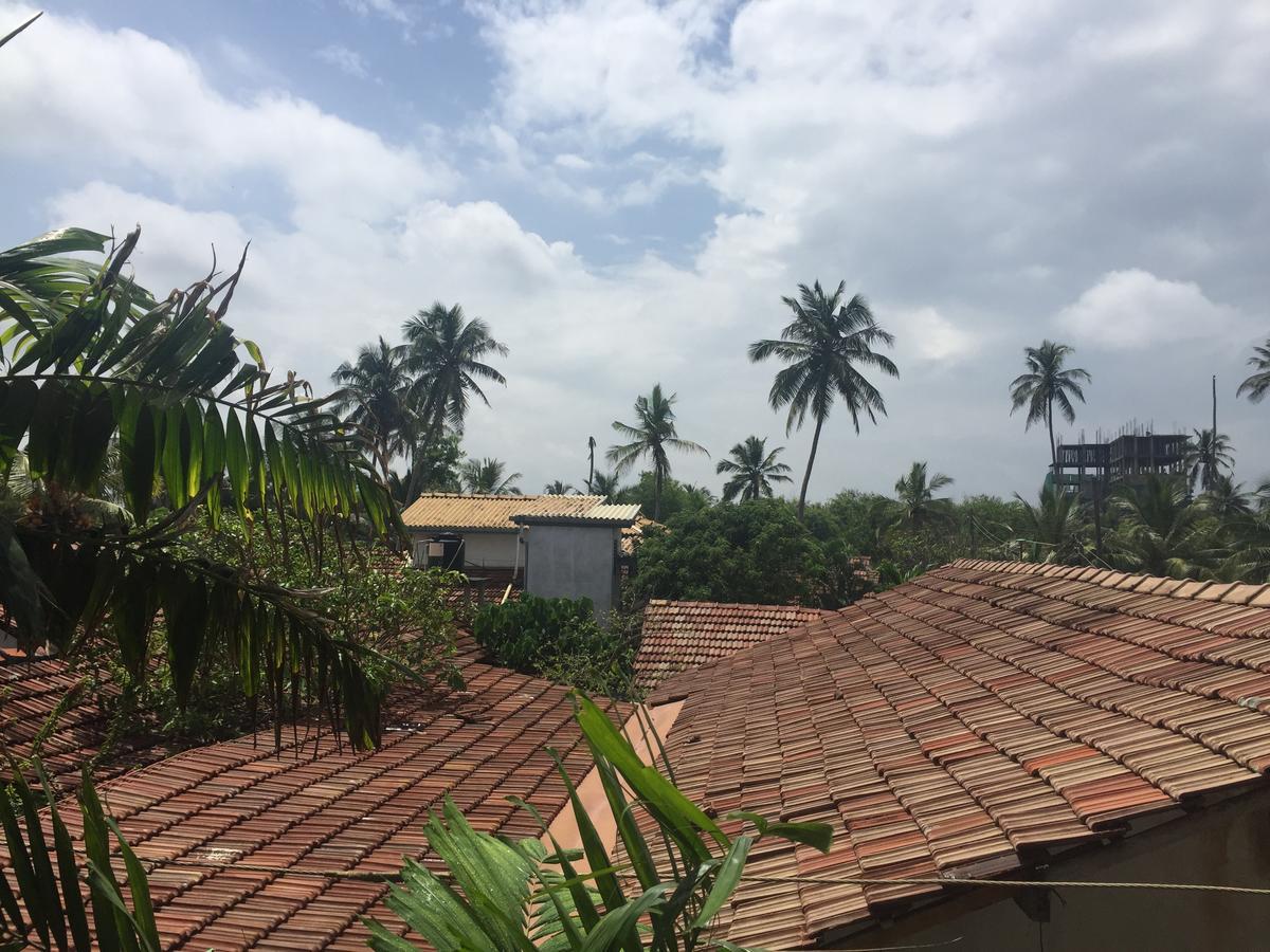 Bee Nest Bed & Breakfast Negombo Eksteriør billede